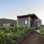 A Cozy Escape Among Rolling Vines and Starry Skies