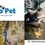 Buy Gnasher Dog Toy In Uk | Yopet.co.uk