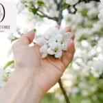 Therapy For Trauma Recovery: Begin Your Healing Journey