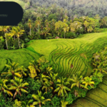 Plan Your Gili Eilanden Tour Pakket Online with Ikganaarbali.nl