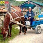 Day Trips From Chisinau: Nearby towns, scenery, and culture you’ll love