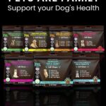 Natural dog vitamins: boosting vitality for happy, healthy pups