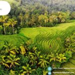 Nusa Penida Eiland Tour Pakket | Ikganaarbali.nl