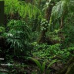 Heart Health Supplements | Herbaniq.eu