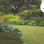 Garden Makeover in Bristol: Create Your Outdoor Oasis