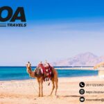 Cairo Dinner Cruise | Toatravels.com
