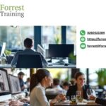 Master Microsoft 365: Practical Classes for Everyday Skills