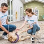 Dating Website For Cats | Petdatingnearme.com