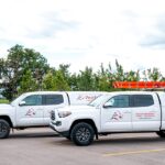 Calgary Rodent Control: Proven Solutions for Homes & Businesses