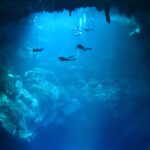 Best diving in Tulum: unforgettable underwater adventures