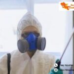 Ant Control Edmonton | Dragonpestcontrol.ca