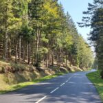 European Motorcycle Tours from the UK: Scenic Alps & Europe Adventures
