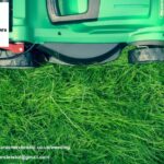 Weeding Services in Bristol | Tidy Gardeners Bristol