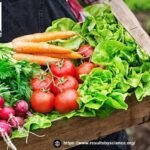 How to Gain Weight: Safe, Effective Ways to Build Lean Muscle