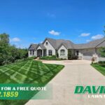 Local landscaping contractors Plymouth – expert lawn care and garden design