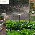 Artificial Grass Maintenance Services Dubai — Lush, Low-Maintenance Lawns