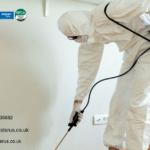 Stop Infestations Fast Using Professional Pest Exterminators London Team