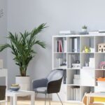 Educational Assessment Services Claremont | Expert Insights by Kirstin Brink