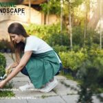 Reliable Landscaping Company Sydney You Can Trust
