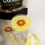 Bulk Fruit Garnish: Premium Dried Citrus & Tropical Picks for Cocktails