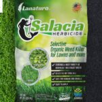 Become a Weed Killer Distributor with Lanaturo – Eco-Safe, Powerful Solutions