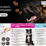 Dog vitamins and supplements: a friendly guide for healthier hounds