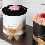 Rosas San Valentín: regalos románticos que duran