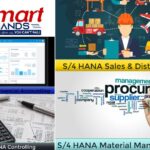 Sap Certification And Training | Thesmarthands.com