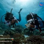 Diving In Srilanka | Kalpitiyadivingcenter.com