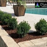 Pool Construction Service Brant | Luxury Pools by Diadem Landscape
