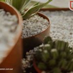 Steel Tree Ring: Durable Protection for Your Trees