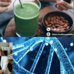 A Gentle Journey Toward Holistic Health in Modern Medicine