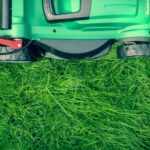 Lawn Shaping Services Bristol | Tidy Gardeners Bristol