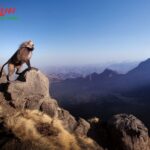Ethiopia Tour Package: Discover Culture, History, and Nature