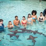 Harbour Boat Tour Nassau – Crystal Waters & Island Views