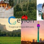 Colombo Day Tour Service — Discover the City with Confidence