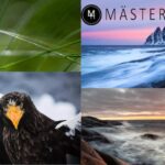 Fotokurser hos Masterfoto.se – lär dig ta perfekta bilder