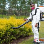 Exterminator Calgary: Reliable Pest Control for Homes and Businesses