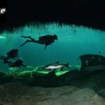 Best Cenote Diving: Expert Guides & Incredible Underwater Beauty