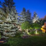 Transform Your Outdoor Space with Beautiful Landscape Lighting