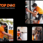 Pest Control Miami – Safe, Effective Pest Solutions