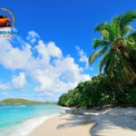 Hawaii Long Term Car Rental | Flexible Plans & Reliable Vehicles