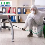 Calgary Rat Exterminator: Safe, Effective Pest Control