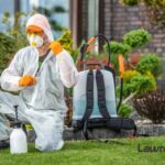 A Green Makeover for Suburban Yards