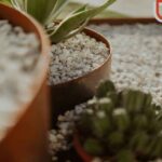 Corten Steel Planters for Timeless Outdoor Style