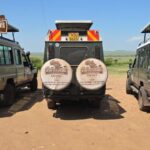 Best Kenya Safari Tours: Custom, Luxury & Seamless Travel
