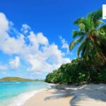 Hawaiian Roads and Hidden Beaches: A Travel Tale