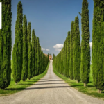 Luxurious Large Villas in Tuscany | Exclusive Italy Retreats
