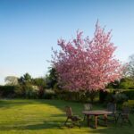 Expert Landscape Gardeners Sutton Surrey | Transform Your Garden