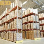 Trusted Truck Transportation Services in Nagpur | Balaji Golden Transport Co.